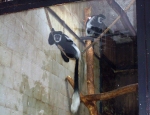 Wycieczka do ZOO 79