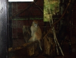 Wycieczka do ZOO 80