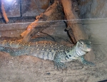Wycieczka do ZOO 82