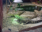 Wycieczka do ZOO 87