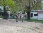 Wycieczka do ZOO 90