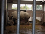 Wycieczka do ZOO 95