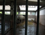 Wycieczka do ZOO 97