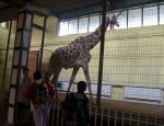 Wycieczka do ZOO 98