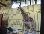Wycieczka do ZOO 99