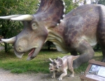 Wycieczka do parku dinozaurow 49