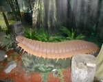 Wyjscie do Muzeum Gornictwa Weglowego w Zabrzu 04.JPG