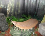 Wyjscie do Muzeum Gornictwa Weglowego w Zabrzu 05.JPG
