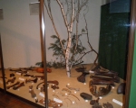 Wyjscie do muzeum 01