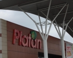 Wystawa - Platan12