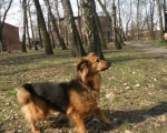 Zajecia w plenerze 64
