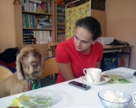 Zakonczenie dogoterapii 18