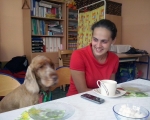 Zakonczenie dogoterapii 19