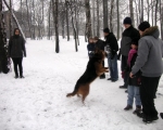 dogoterapia 15.JPG