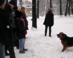 dogoterapia 17.JPG