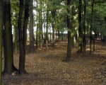 wyjazd rekreacyjny do Zbroslawic 18
