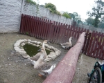 wyjazd rekreacyjny do Zbroslawic 60