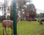 wyjazd rekreacyjny do Zbroslawic 71