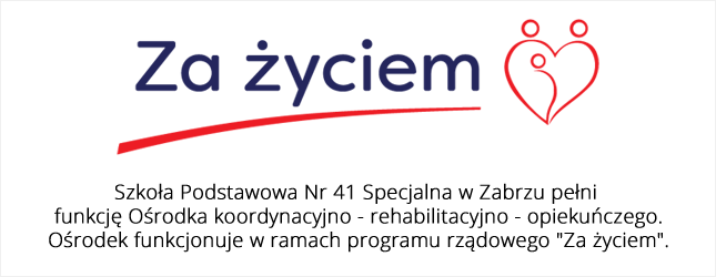 Program rządowy 